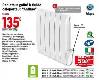 Radiateur Galbé à Fluide Caloporteur