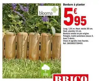 Brico Dépôt Bordure à Planter Blooma offre