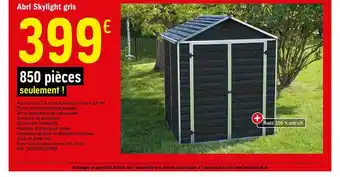Brico Dépôt Abri Skylight Gris offre