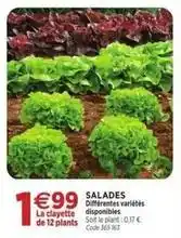 RAGT Jardin & Maison Salades offre
