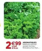 RAGT Jardin & Maison Persil - aromatiques offre