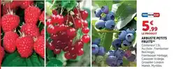 Hyper U Arbuste petits fruits offre