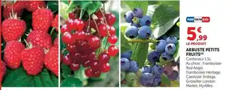 Hyper U Arbuste petits fruits offre