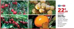 Hyper U Fruitier demi-tige offre