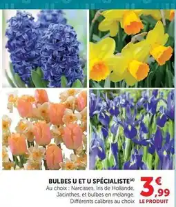 Hyper U U - bulbes et spécialiste offre