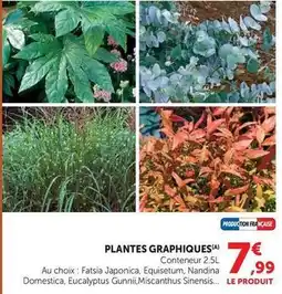 Hyper U Plantes graphiques offre