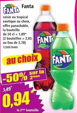 Norma Fanta offre