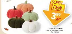 Trafic CITROUILLE DECO offre