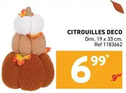 Trafic CITROUILLES DECO offre