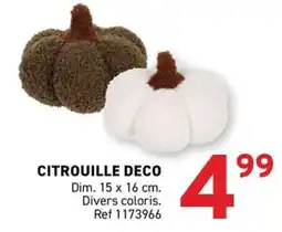 Trafic CITROUILLE DECO offre