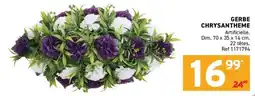 Trafic GERBE CHRYSANTHEME offre