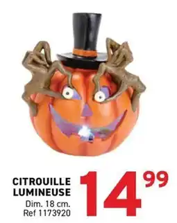 Trafic CITROUILLE LUMINEUSE offre