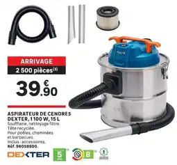 Leroy Merlin DEXTER Aspirateur de cendres offre