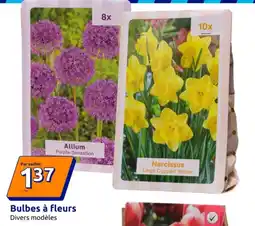 Action Bulbes à fleurs offre