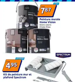 Action Home Vision Peinture murale offre