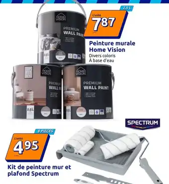 Home Vision Peinture murale