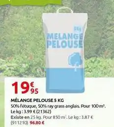 Rural Master Mélange pelouse 5 kg offre