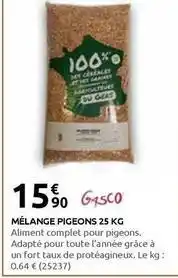 Rural Master Gers - mélange pigeons offre