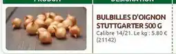 Rural Master Bulbilles d'oignon offre