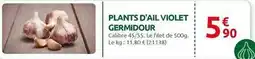 Rural Master Plants d'ail violet germidour offre