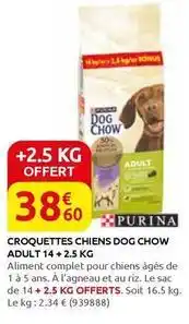 Rural Master Purina - croquettes chiens dog chow adult 14+2.5 kg offre
