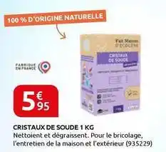 Rural Master Cristaux de soude offre