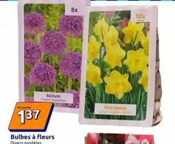 Action Bulbes à fleurs offre