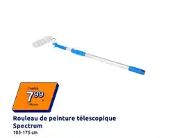 Action Rouleau de peinture télescopique spectrum offre