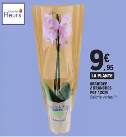 E.Leclerc Drive Quartier Fleurs Orchidée offre