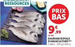 Hyper U DAURADE ROYALE offre
