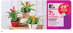 Super U COMPOSITION DE PLANTES offre