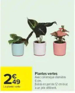Carrefour Plantes vertes offre