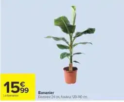 Carrefour Le bananier Bananier offre