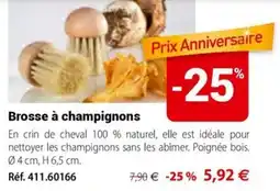 Mathon Brosse à champignons offre