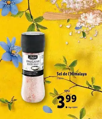 Lidl Sel De L'himalaya Deluxe offre