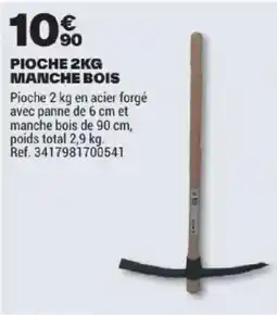 Brico Dépôt PIOCHE MANCHE BOIS offre