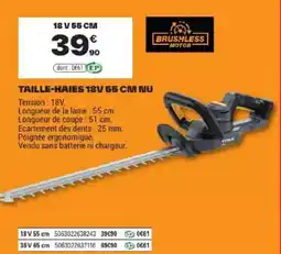 Brico Dépôt TITAN Taille-haies 18V 55 cm NU offre