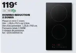 Brico Dépôt DOMINO INDUCTION offre