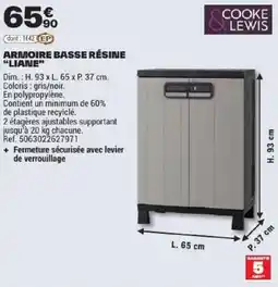 Brico Dépôt COOKE & LEWIS ARMOIRE BASSE RÉSINE "LIANE" offre
