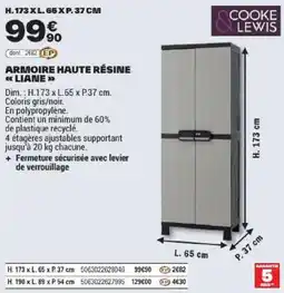 Brico Dépôt COOKE & LEWIS ARMOIRE HAUTE RÉSINE « LIANE » offre