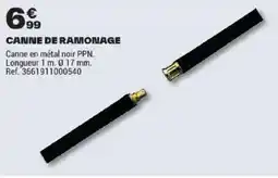 Brico Dépôt CANNE DE RAMONAGE offre