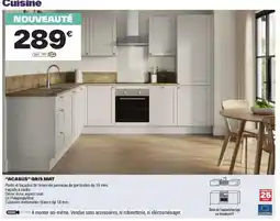 Brico Dépôt ACASUS GRIS MAT offre