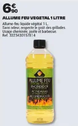 Brico Dépôt ALLUME FEU offre