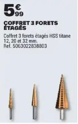 Brico Dépôt COFFRET 3 FORETS ÉTAGÉS offre