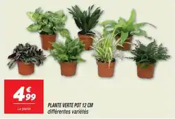 Netto La plante offre