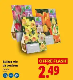 Lidl Changing Colors Bulbes mix de couleurs offre