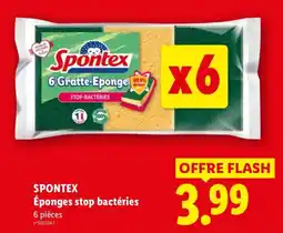 Lidl Spontex Éponges stop bactéries offre