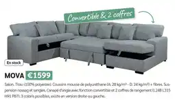 Meubles Crack MOVA offre