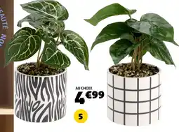 GiFi Plante artificielle offre