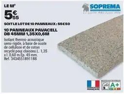 Brico Dépôt Db - soit le lot de 10 panneaux offre